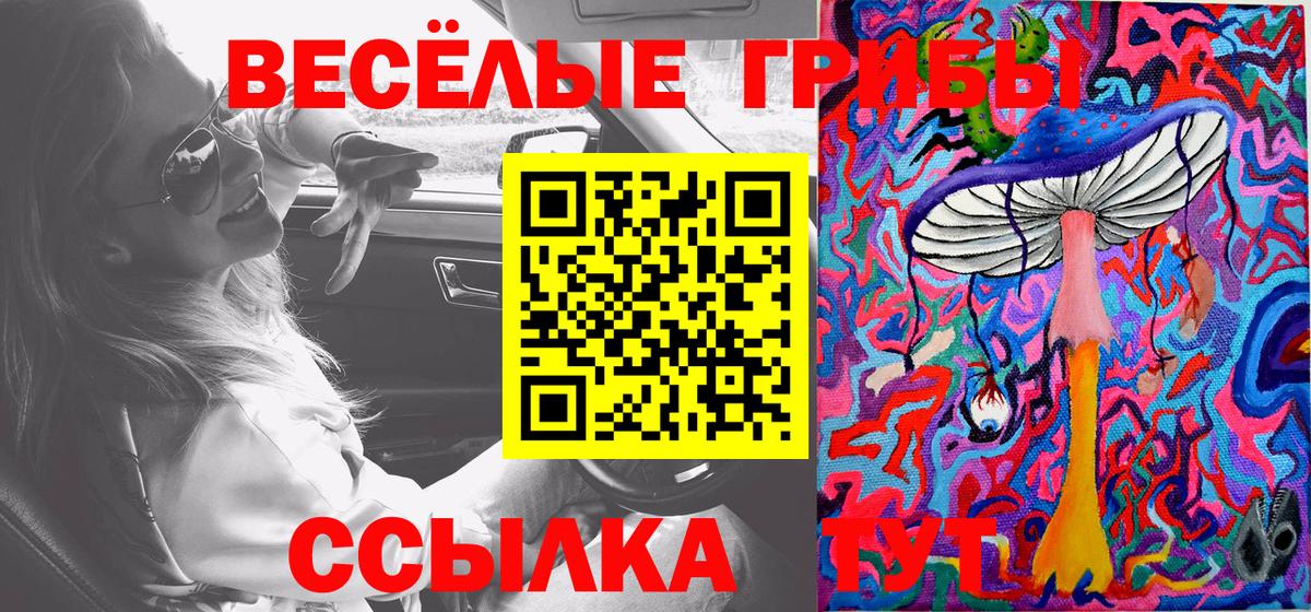 как найти закладки  Вход с VPN  Учалы  Галлюциногенные грибы мицелий 